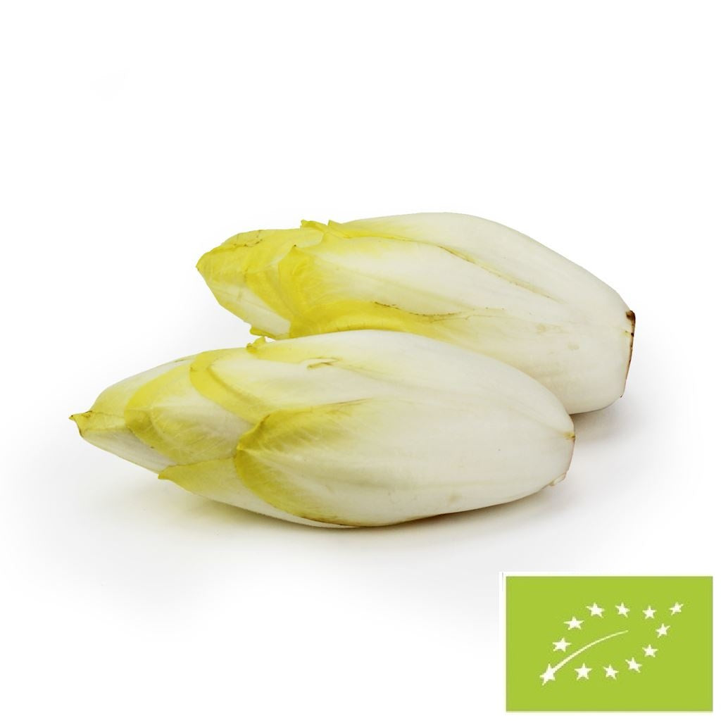 Cykoria Świeża Bio 5 kg