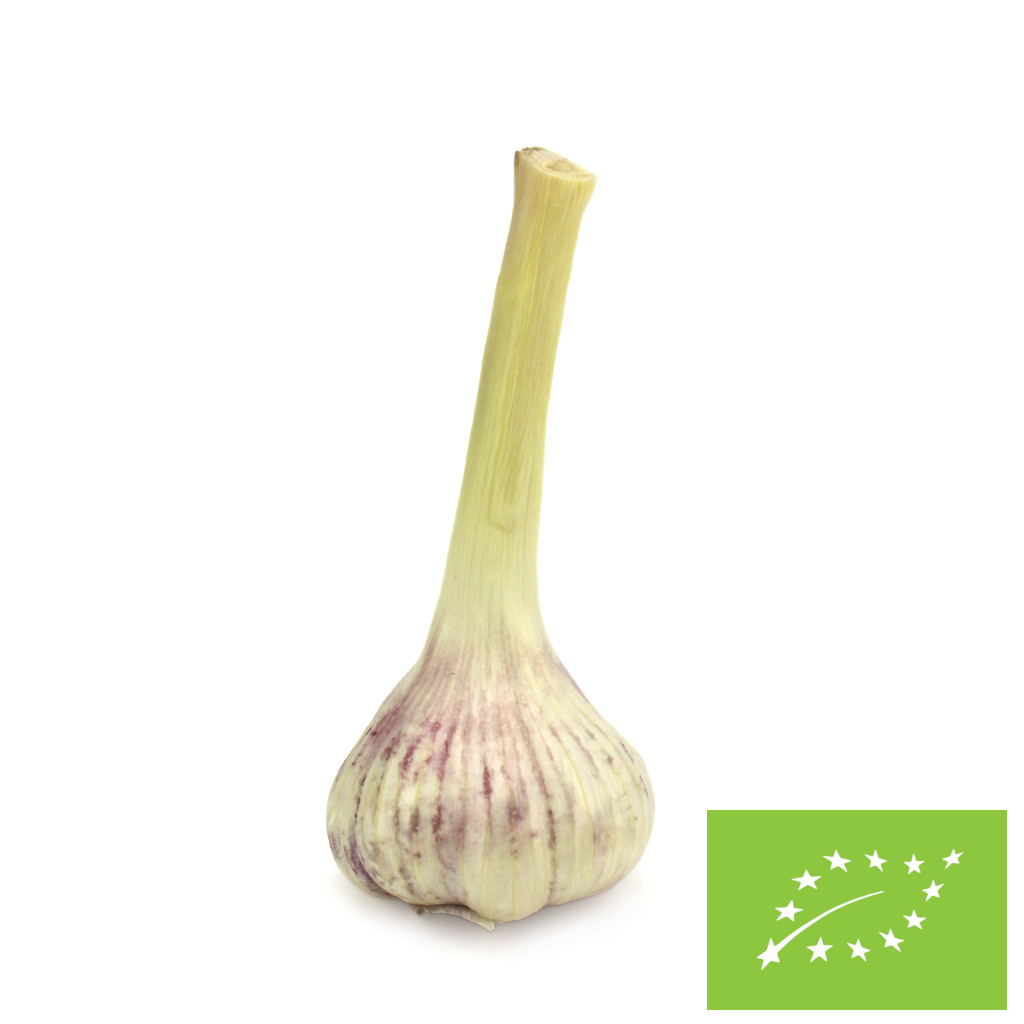 Czosnek świeży bio (Polska) (około 50 g)