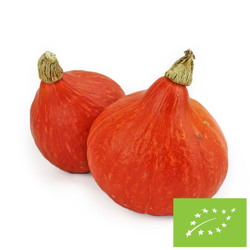 Dynia hokkaido świeża bio (polska) (około 1 kg)