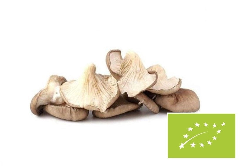 Grzyby boczniaki świeże BIO (Polska) (około 0,20 kg)