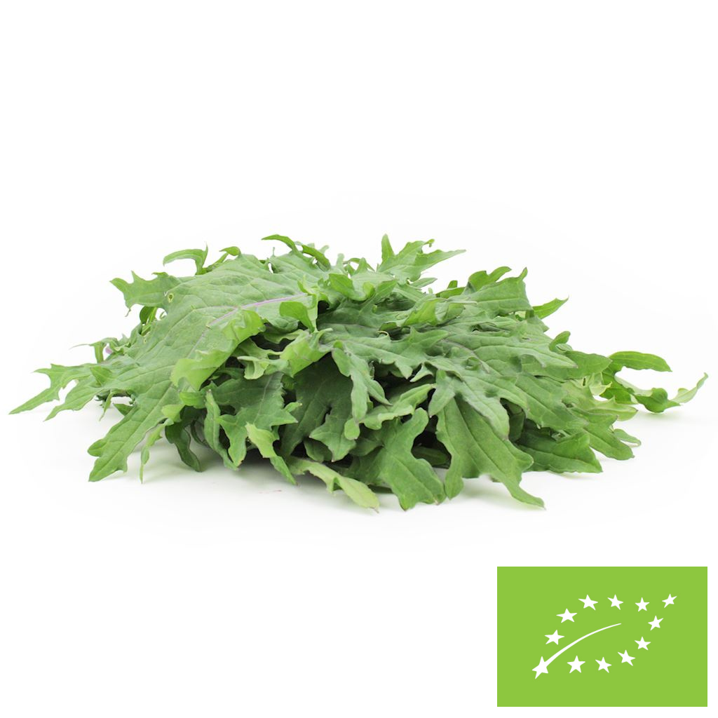 Jarmuż mix świeży bio (polska) (około 0,14 kg)