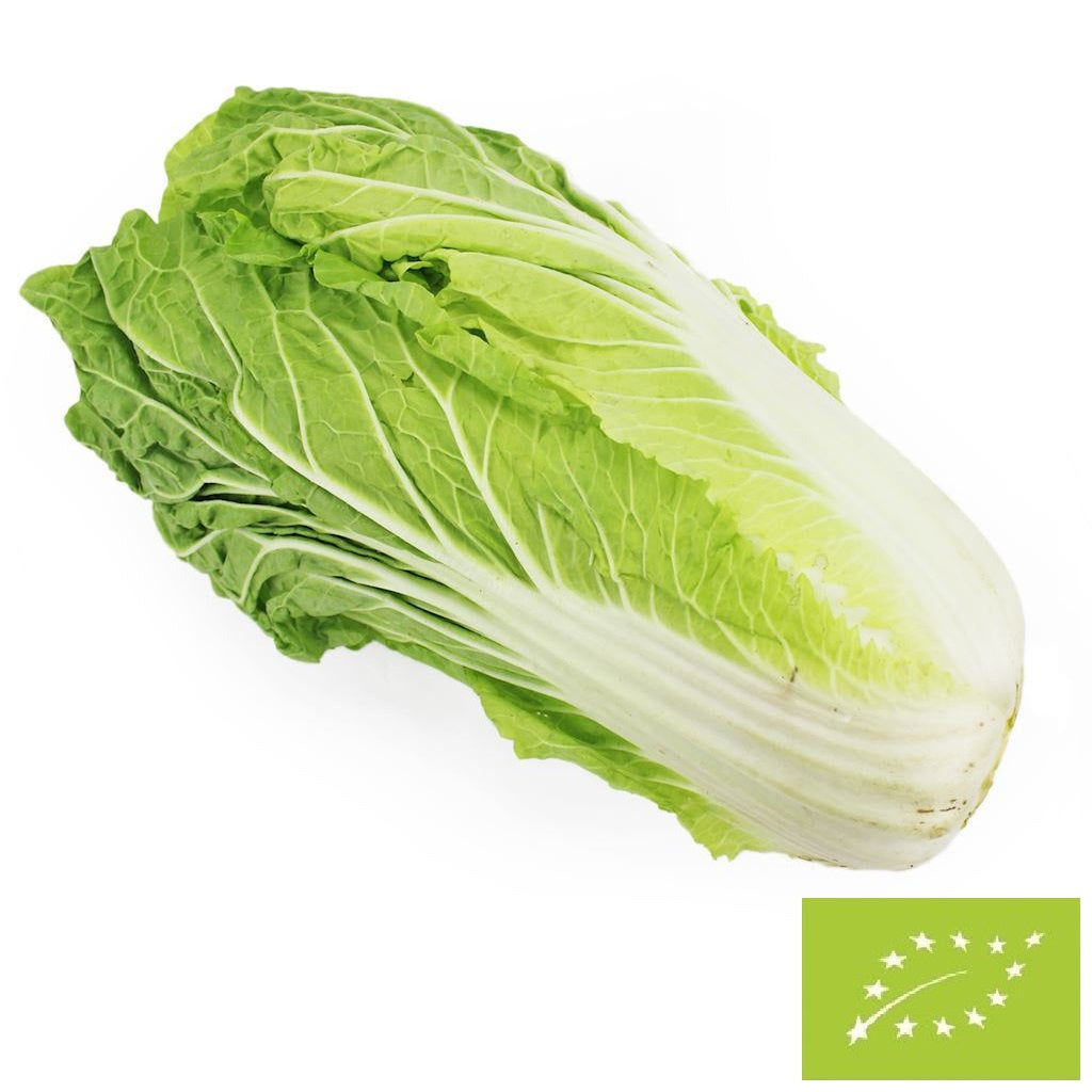 Kapusta pekińska świeża BIO (Polska) ok 0,6 kg