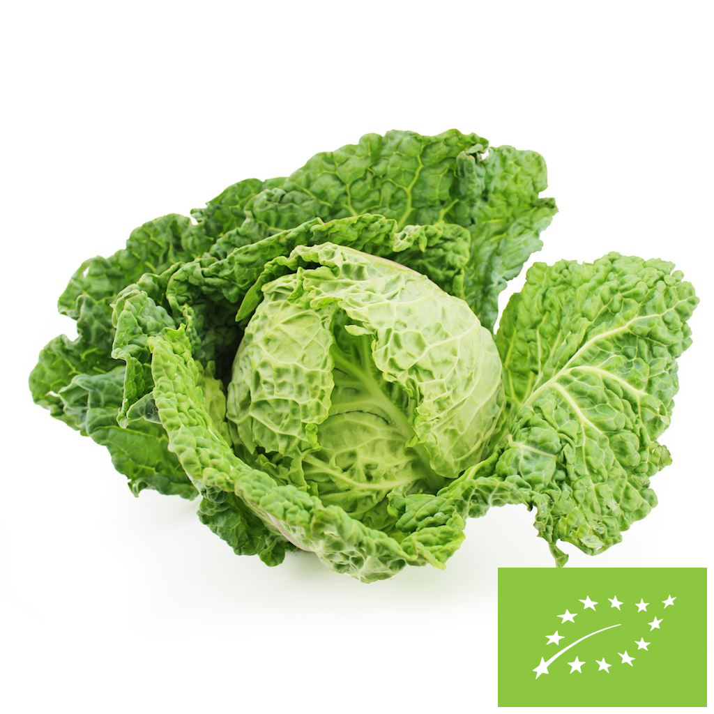 Kapusta włoska świeża bio (Polska) (około 1,00 kg)