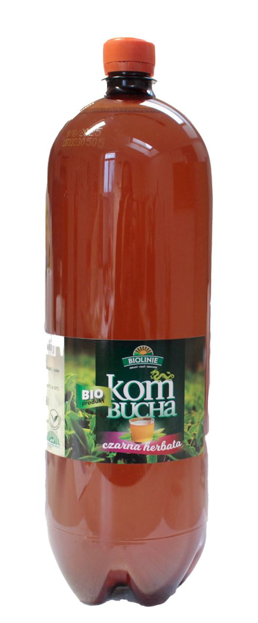 Kombucha herbata zielona bio 2 l