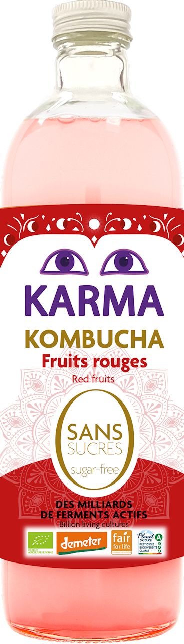 Kombucha z owocami czerwonymi bez cukru Fair for Life Demeter bio 750 ml - Karma Kombucha