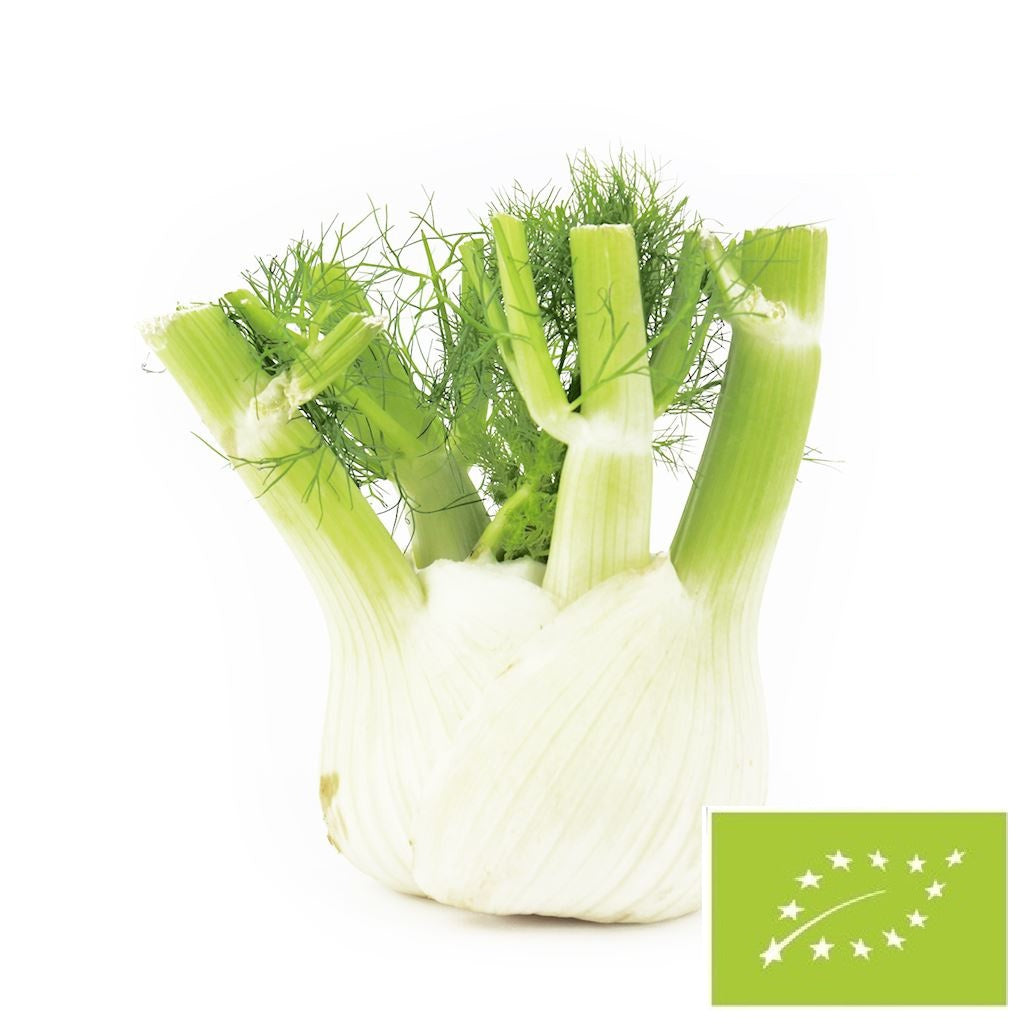 Koper włoski świeży (fenkuł) bio (około 0,35 kg)