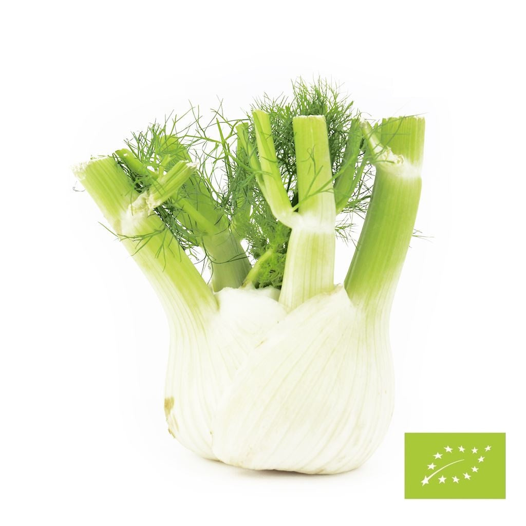 Koper włoski świeży (fenkuł) bio - około 5 kg