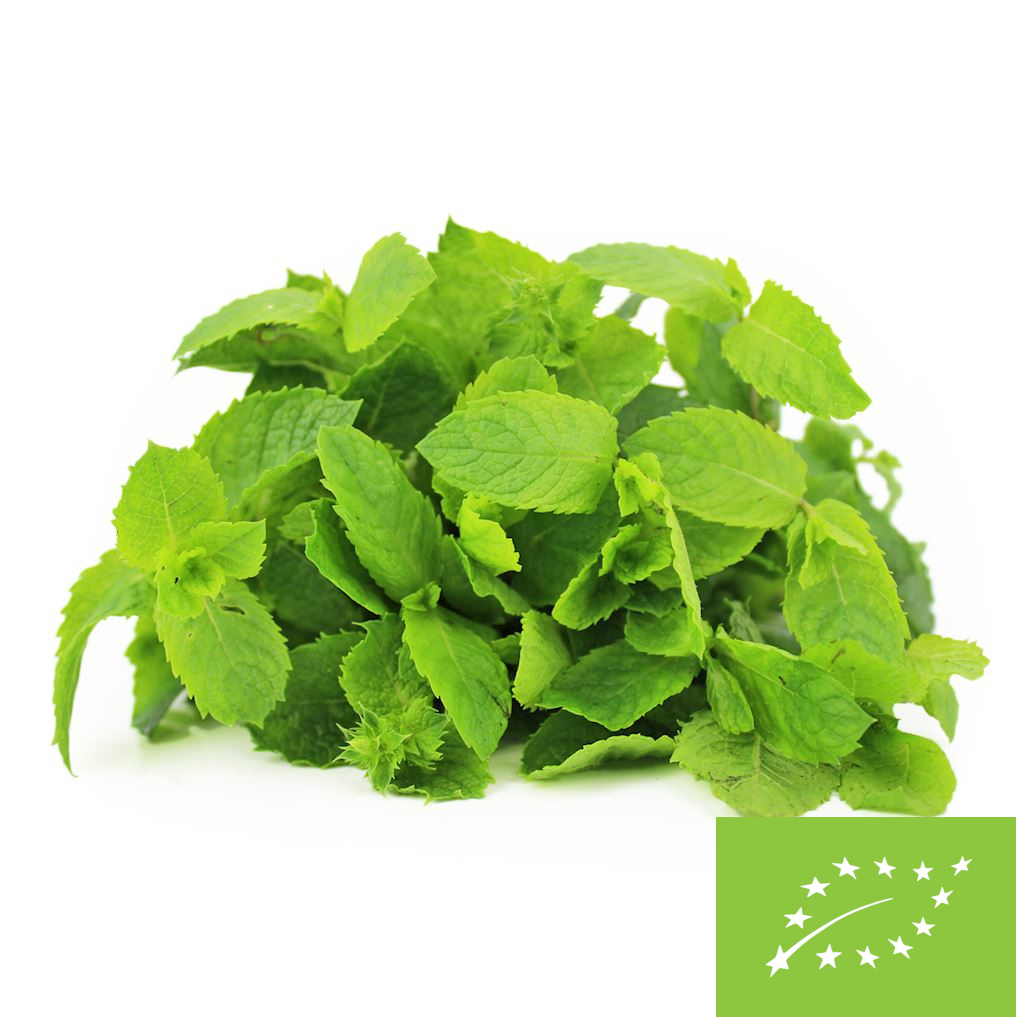 Mięta świeża BIO (Polska) (około 50 g)