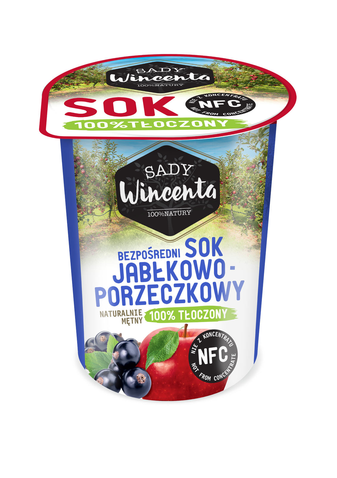 Naturalnie mętny sok jabłkowo-porzeczkowy 200 ml