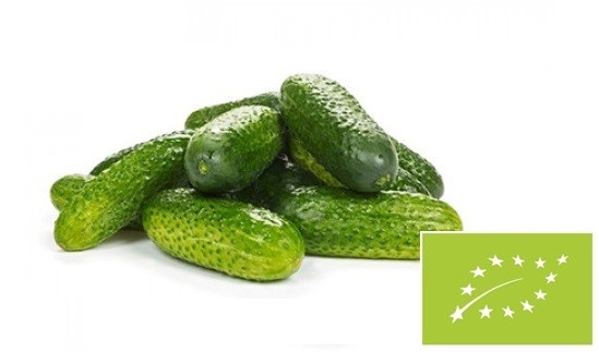 Ogórek gruntowy BIO 1 kg