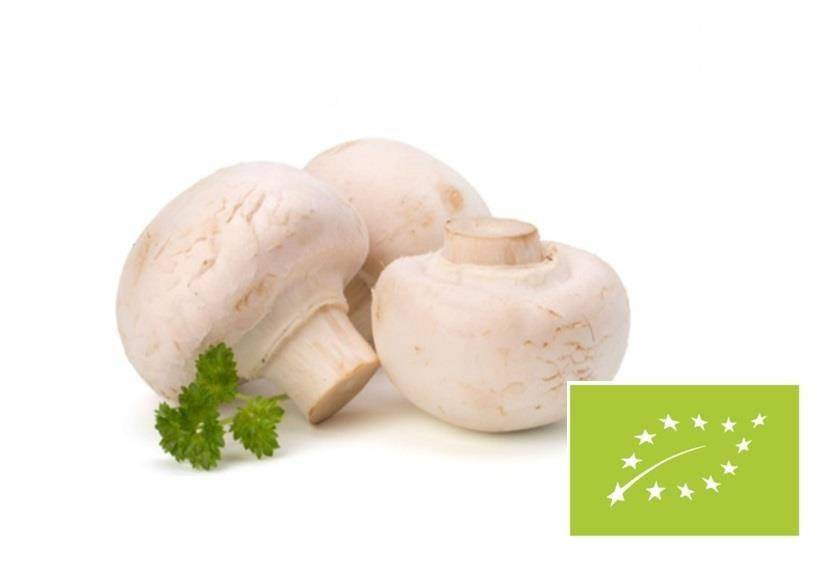 Pieczarka biała BIO 250 g