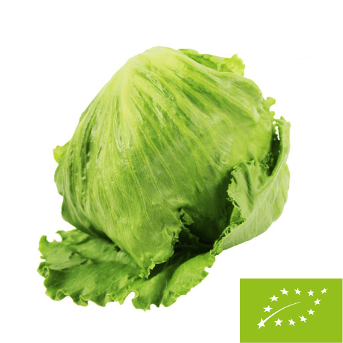 Sałata lodowa świeża BIO (Polska) (około 0,30 kg)