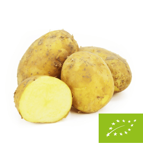 Ziemniaki żółte młode świeże BIO pl (ok 10 kg)