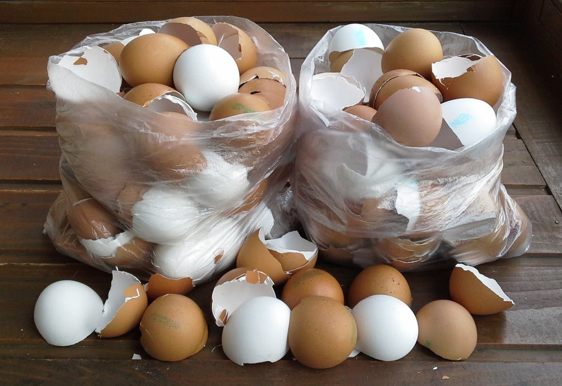 Skorupki Jaj: Naturalne Źródło Wapnia w Ekologicznym Domu