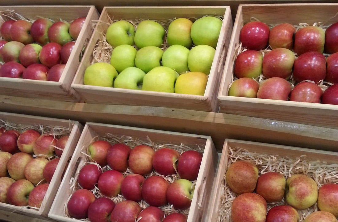 Złoto Polskich Sadów: Dlaczego Warto Jeść Jabłka i Jak Wybrać Te Najlepsze?