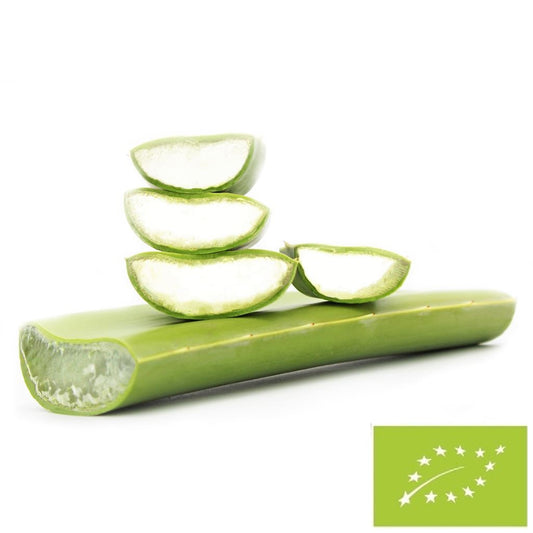 Aloes świeży bio (około 0,50 kg) - liście
