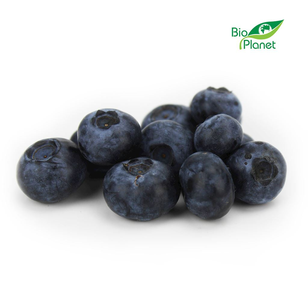 BORÓWKI ŚWIEŻE BIO (POLSKA) (około 0,50 kg)