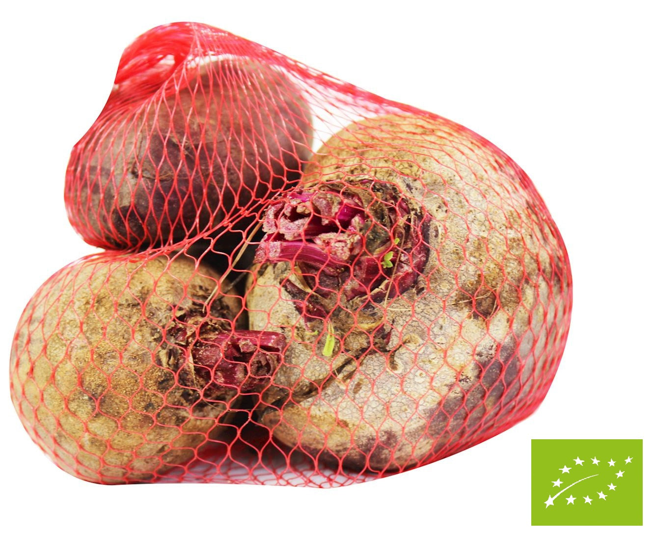 Burak czerwony świeży BIO (około 1,00 kg)