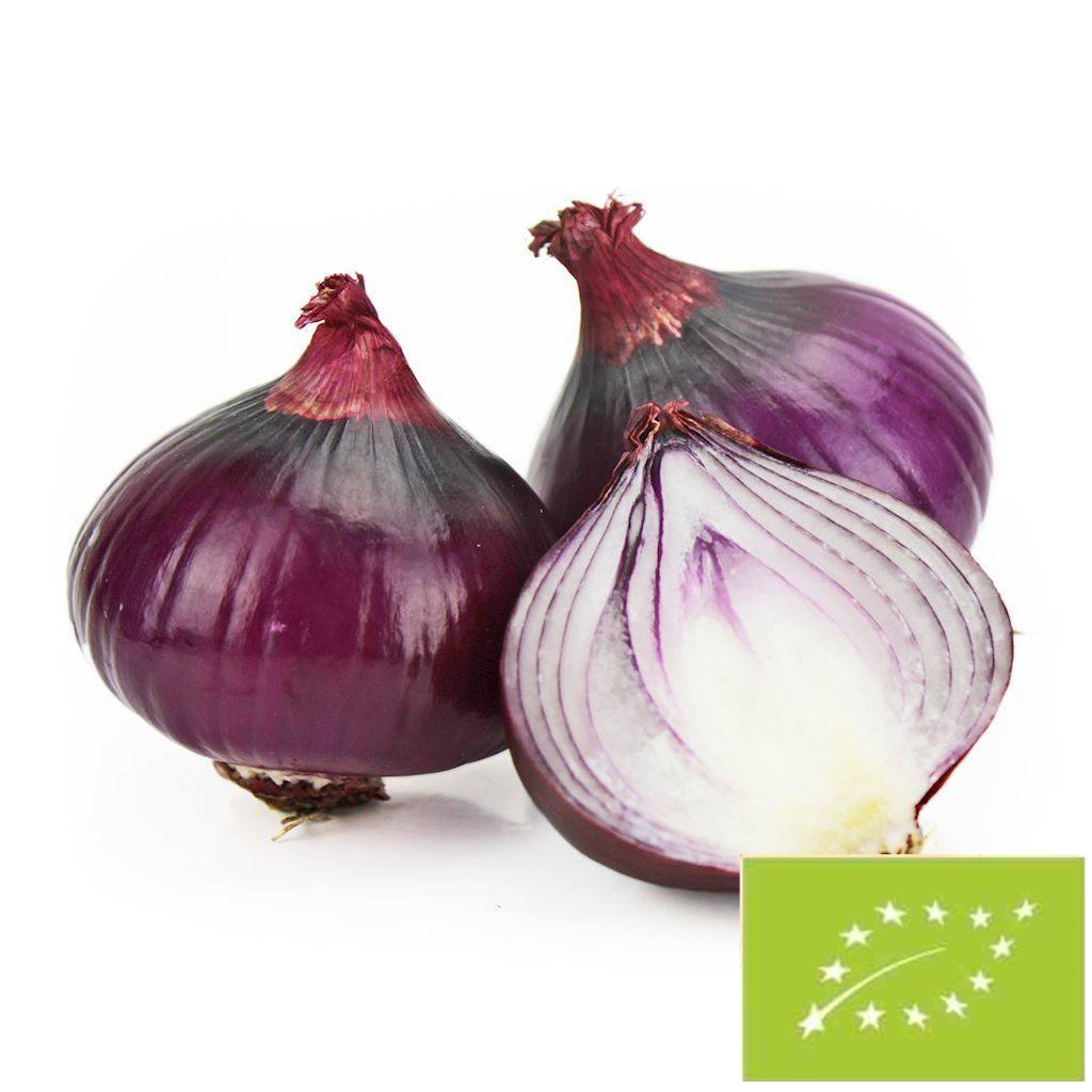 Cebula Czerwona Świeża Bio (Polska) (Około 1,00 kg)