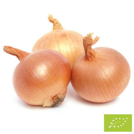 Cebula żółta BIO 1 kg