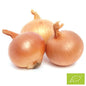 Cebula żółta BIO 1 kg