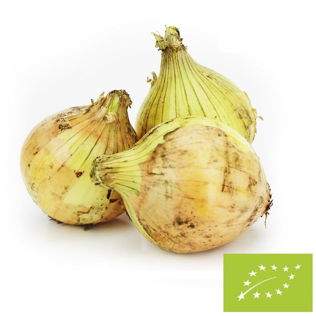 Cebula żółta świeża bio Polska - około 5 kg