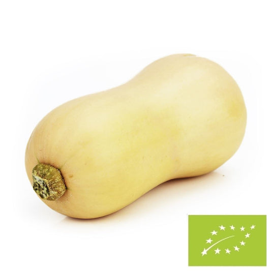 Dynia piżmowa (butternut) świeża bio (około 1,00 kg)