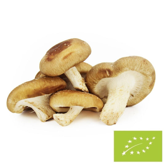 Grzyby Shiitake świeże bio (Polska) (około 0,20 kg)