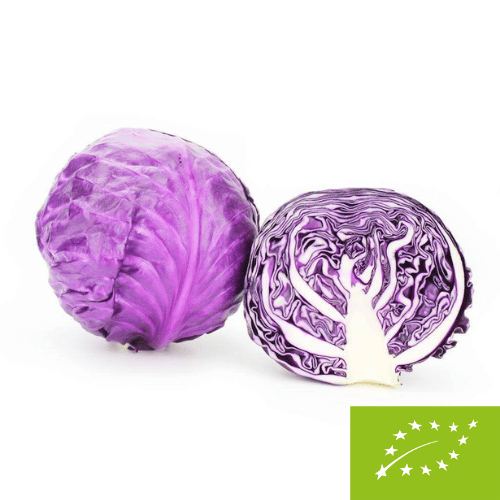 Kapusta czerwona młoda świeża bio (około 1,00 kg)
