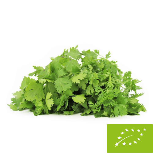 Kolendra świeża BIO (Polska) (około 50 g)