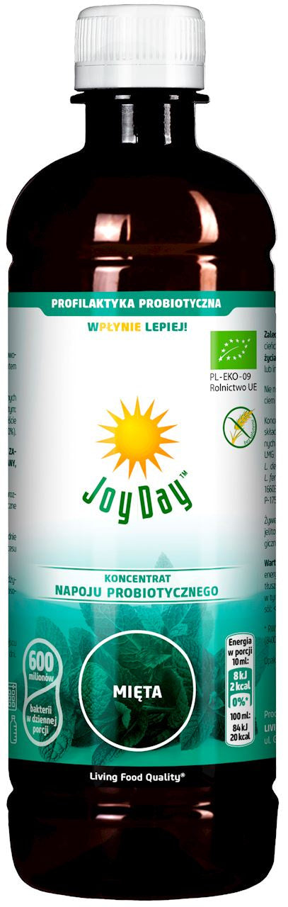 Koncentrat napoju probiotycznego mięta bezglutenowy bio 500 ml