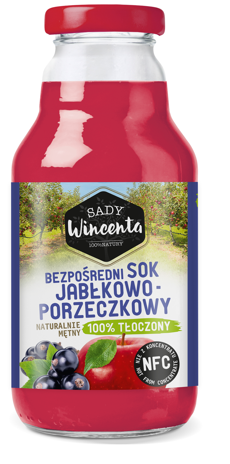Naturalnie mętny sok jabłkowo-porzeczkowy 330 ml