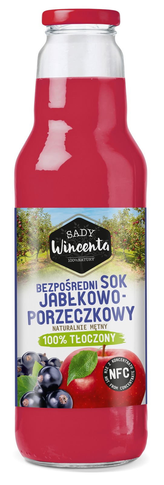 Naturalnie mętny sok jabłkowo-porzeczkowy 750 ml