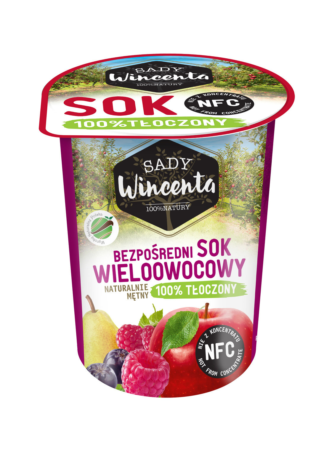 Naturalnie mętny sok wieloowocowy 200 ml Sady Wincenta