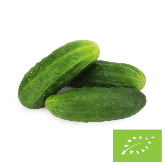 Ogórek gruntowy świezy BIO Polska (około 5 kg)