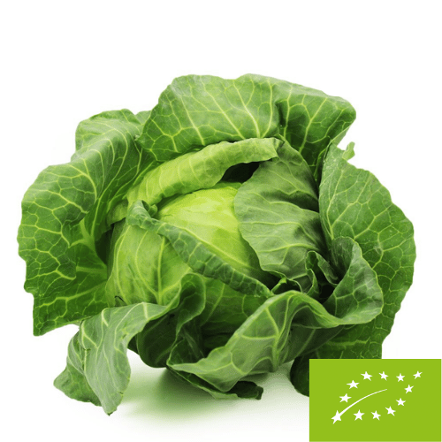 Opakowanie zbiorcze (kg) - kapusta biała młoda świeża bio (Polska) (około 7 kg)