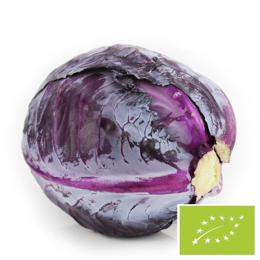 Opakowanie zbiorcze (kg) - kapusta czerwona młoda świeża bio (Polska) (około 10 kg)