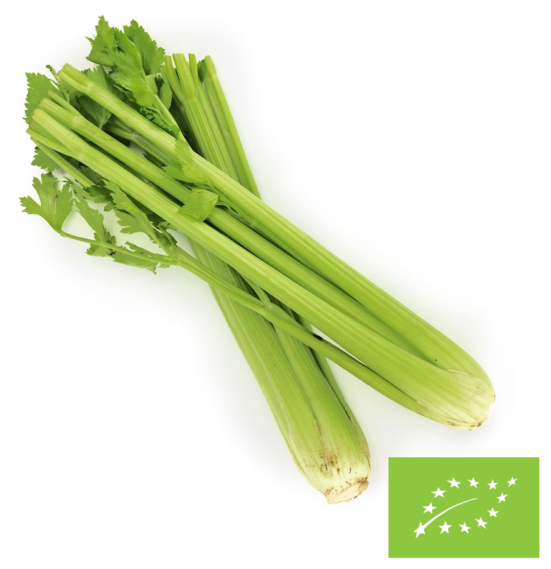 Seler naciowy świeży bio