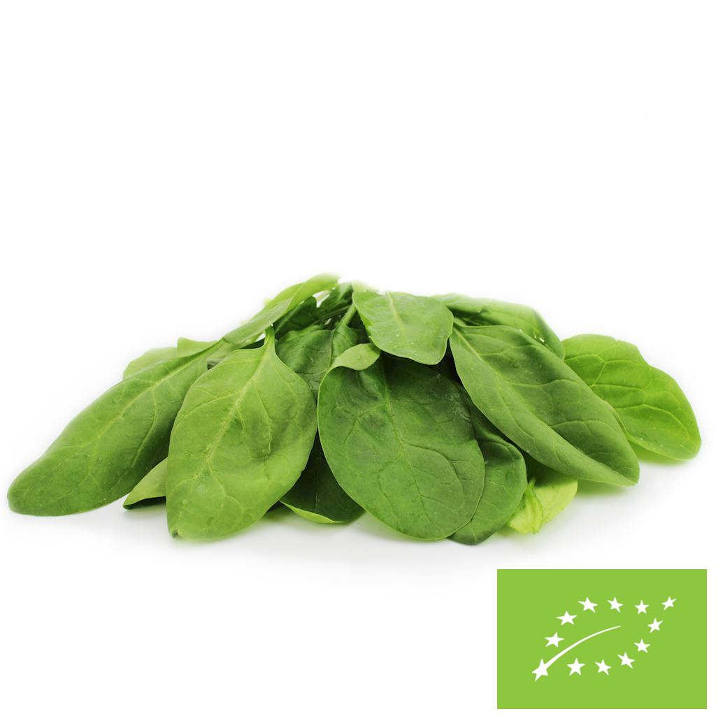 Szpinak baby świeży BIO (Polska) (około 0,12 kg)