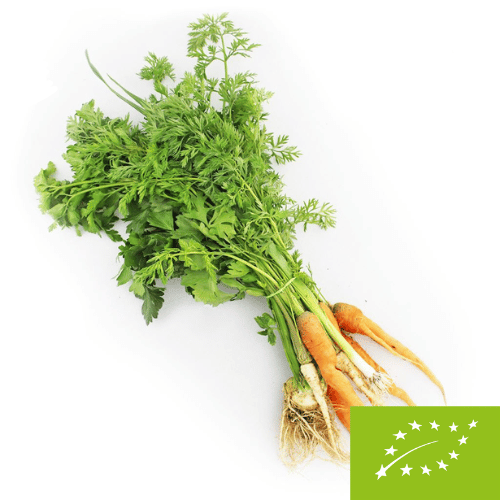 Włoszczyzna pęczek świeża BIO (Polska) (około 0,60 kg)