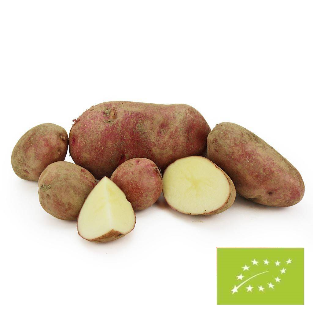 Ziemniaki czerwone młode świeże BIO (ok 2 kg)